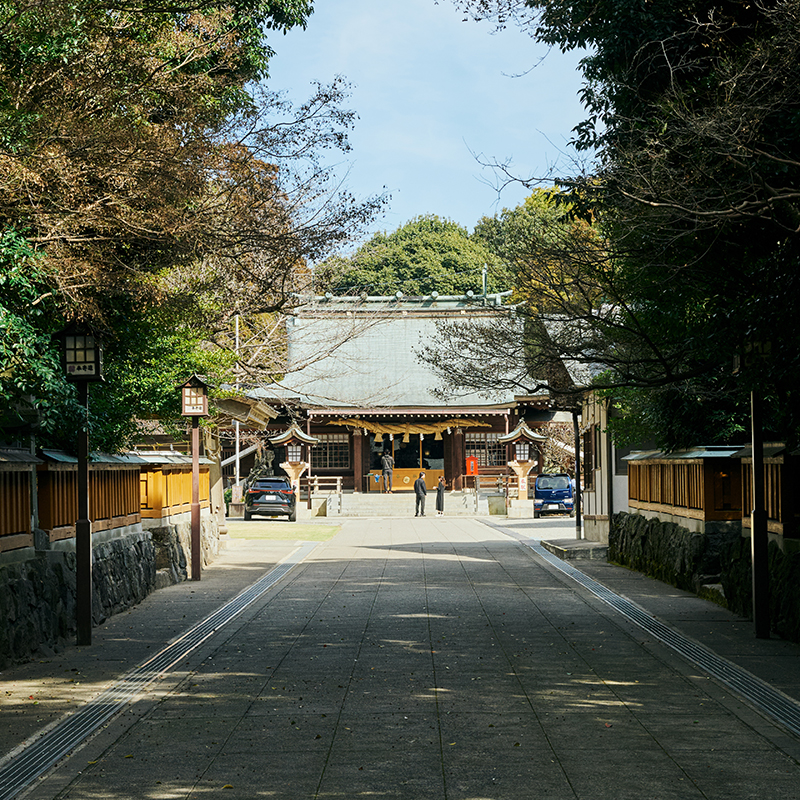 緑の並木を抜けた先にある境内。