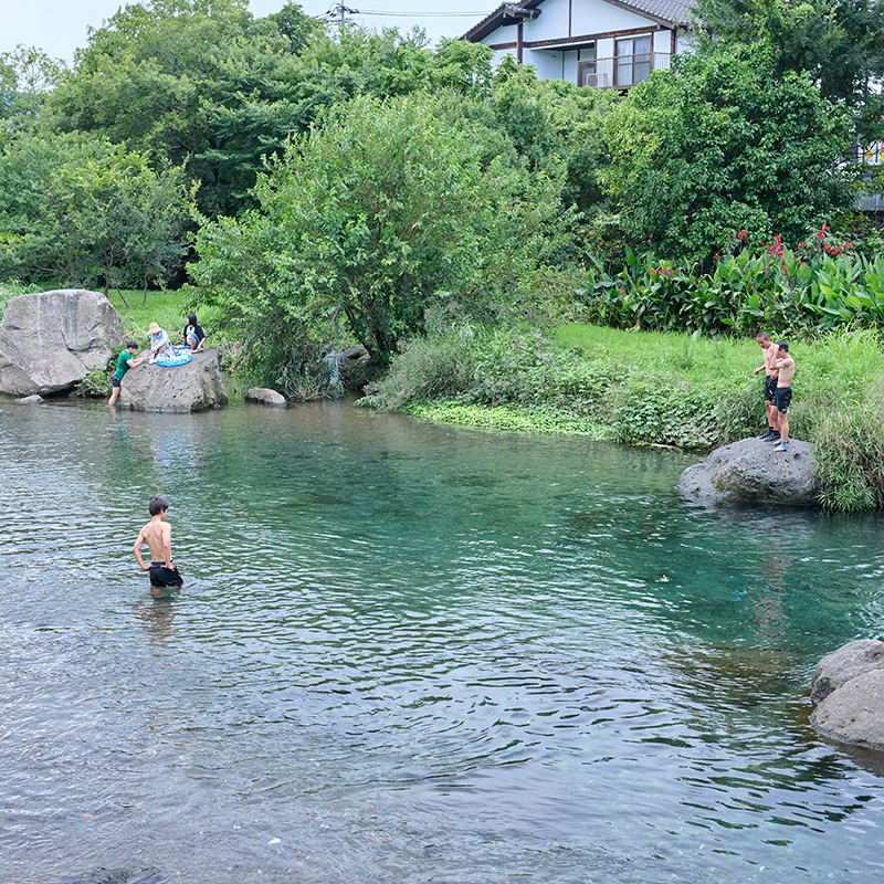 江津湖へとつながる湧水河川。