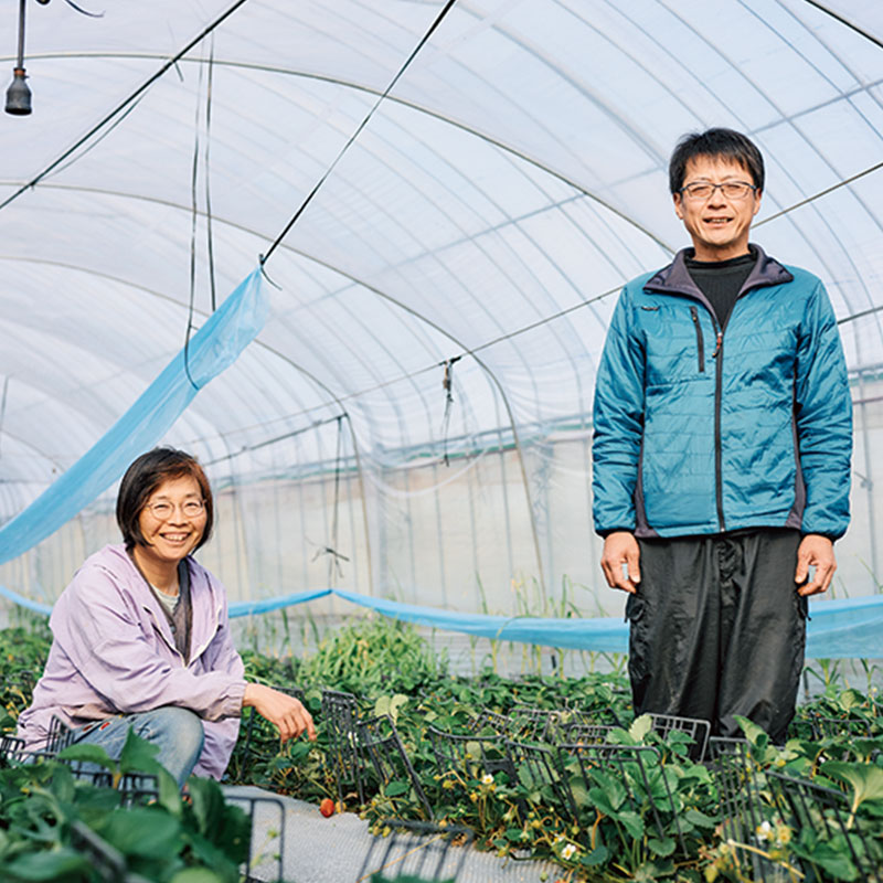（右）農薬ゼロのだいしん農園代表・楠田大伸（くすだだいしん）さん、（左）スタッフ・黒田智子（くろだともこ）さん。