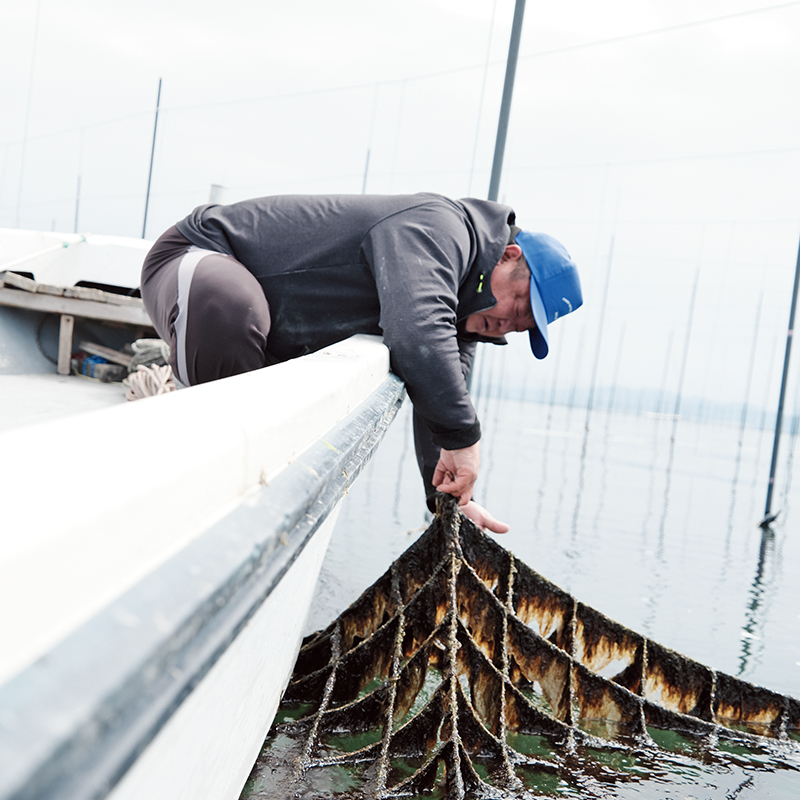 A cultivation farm constructed