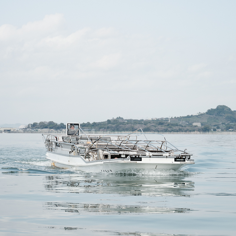The peak harvest season