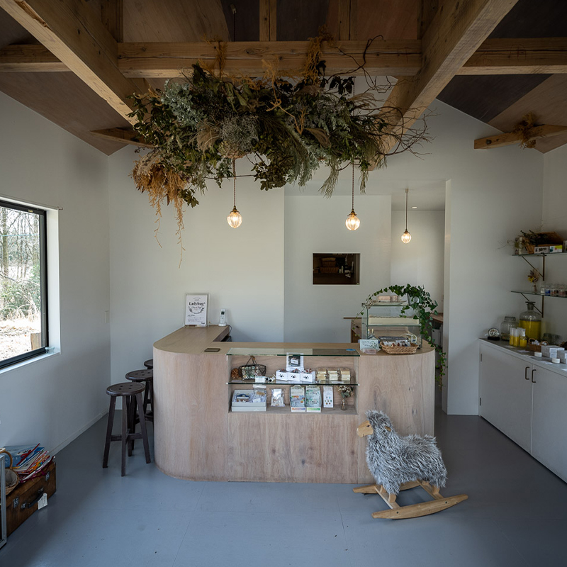 宝物のような石けんが並ぶ店内