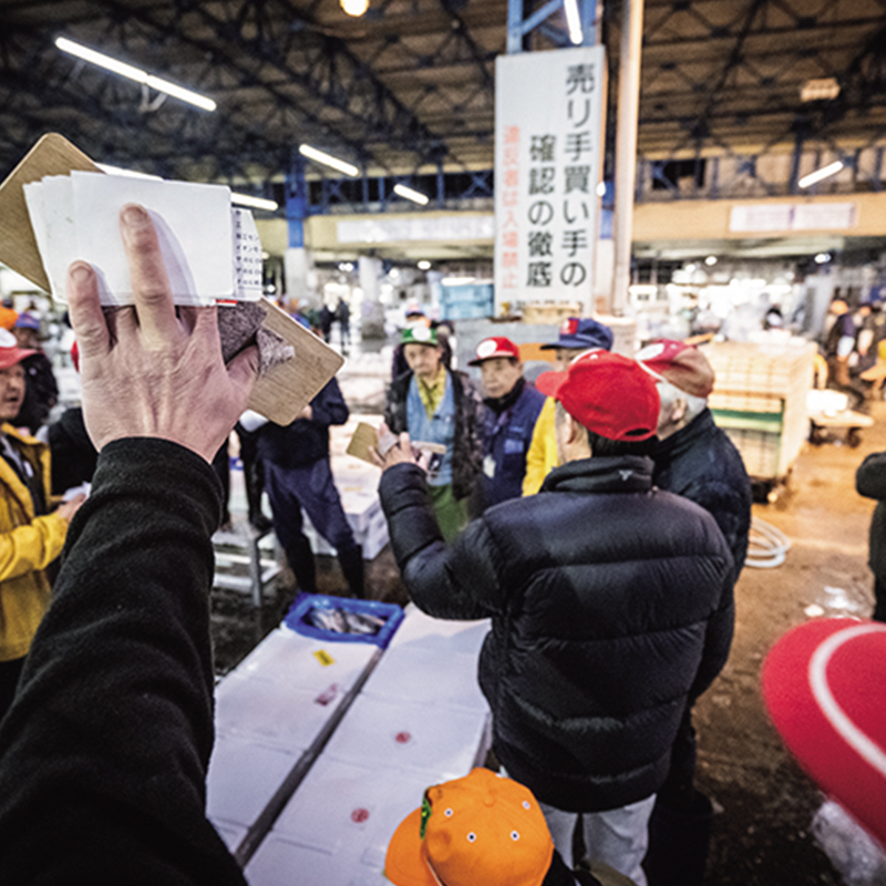 「田崎市場でもっとも多く取り引きされる海産物は、タイ。アジやブリがそれに続きます」