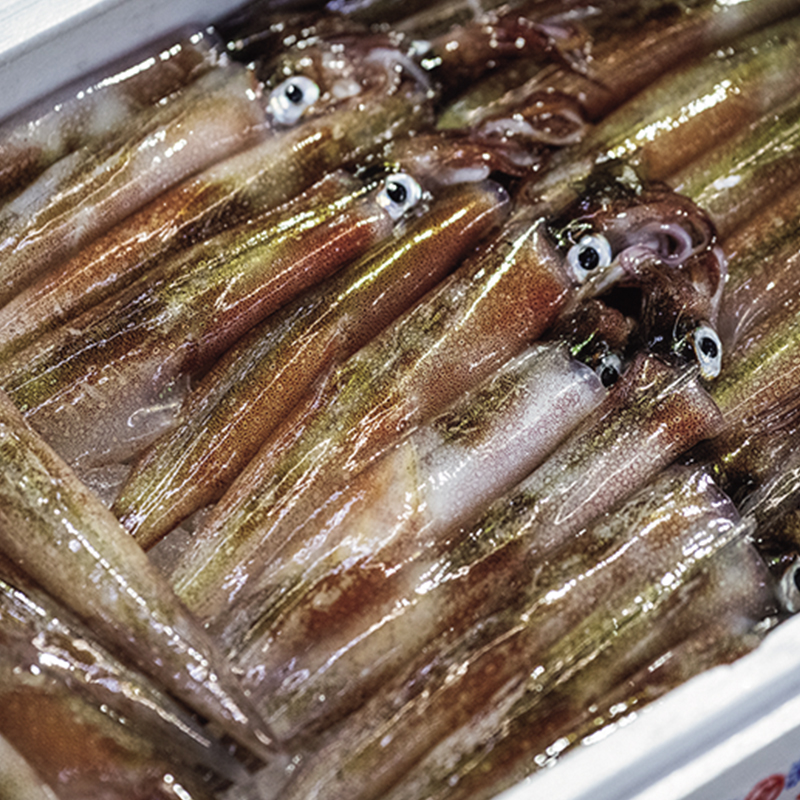 「田崎市場でもっとも多く取り引きされる海産物は、タイ。アジやブリがそれに続きます」