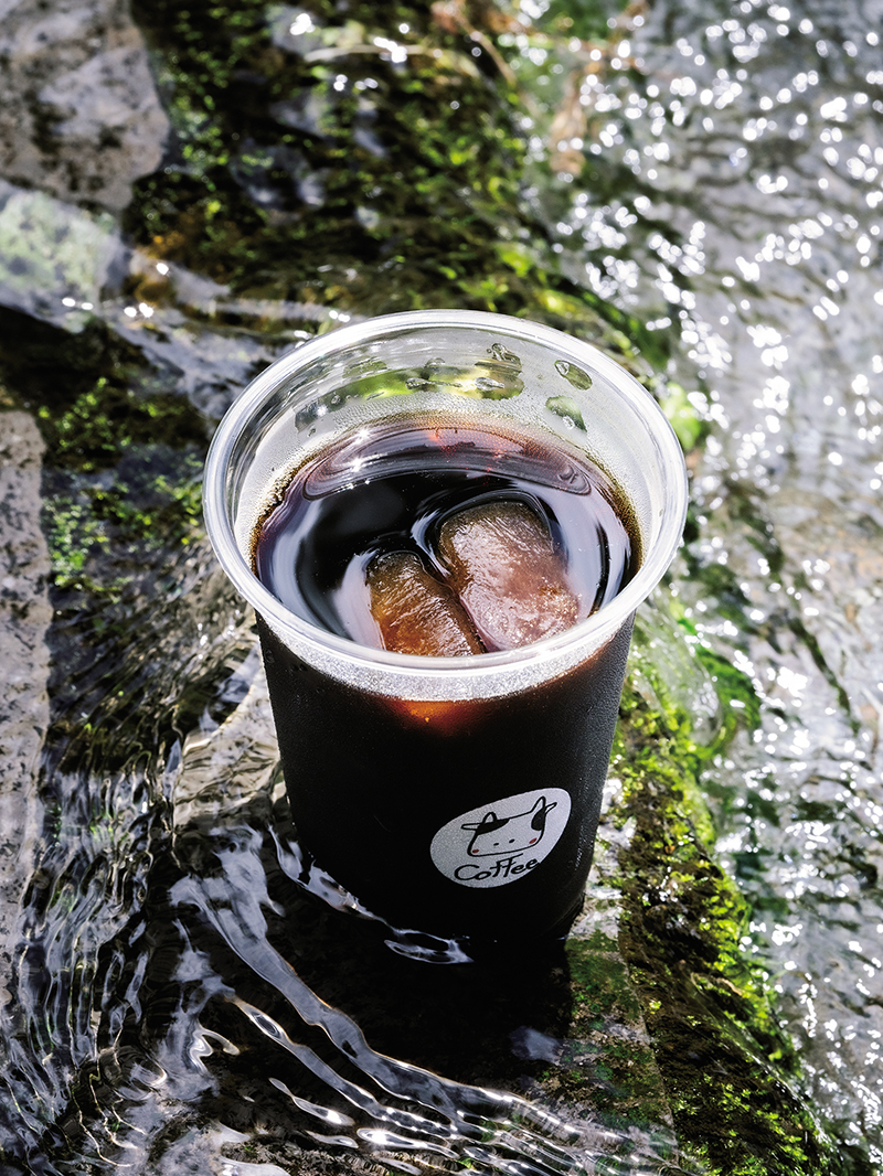 一日20杯限定！ 白川水源の湧水で淹れる“水出しコーヒー”を飲みに行ってみませんか？