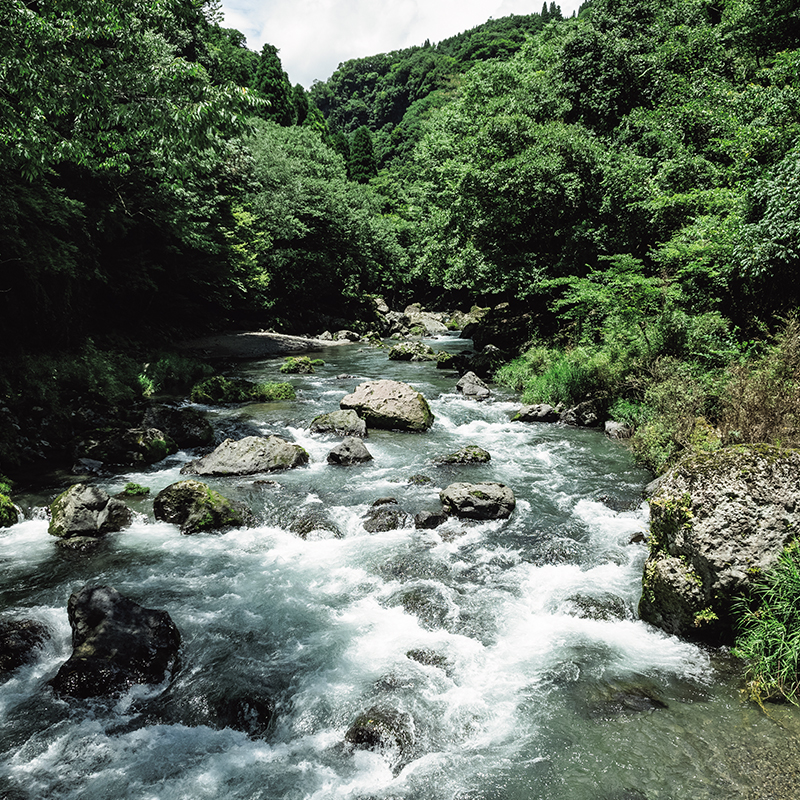 川のせせらぎ