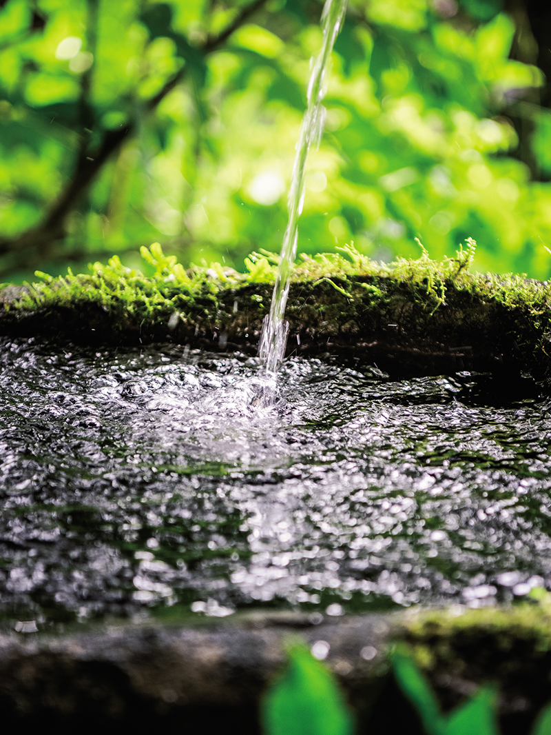 なぜ熊本の水は豊かで、きれいで、おいしいのか?
