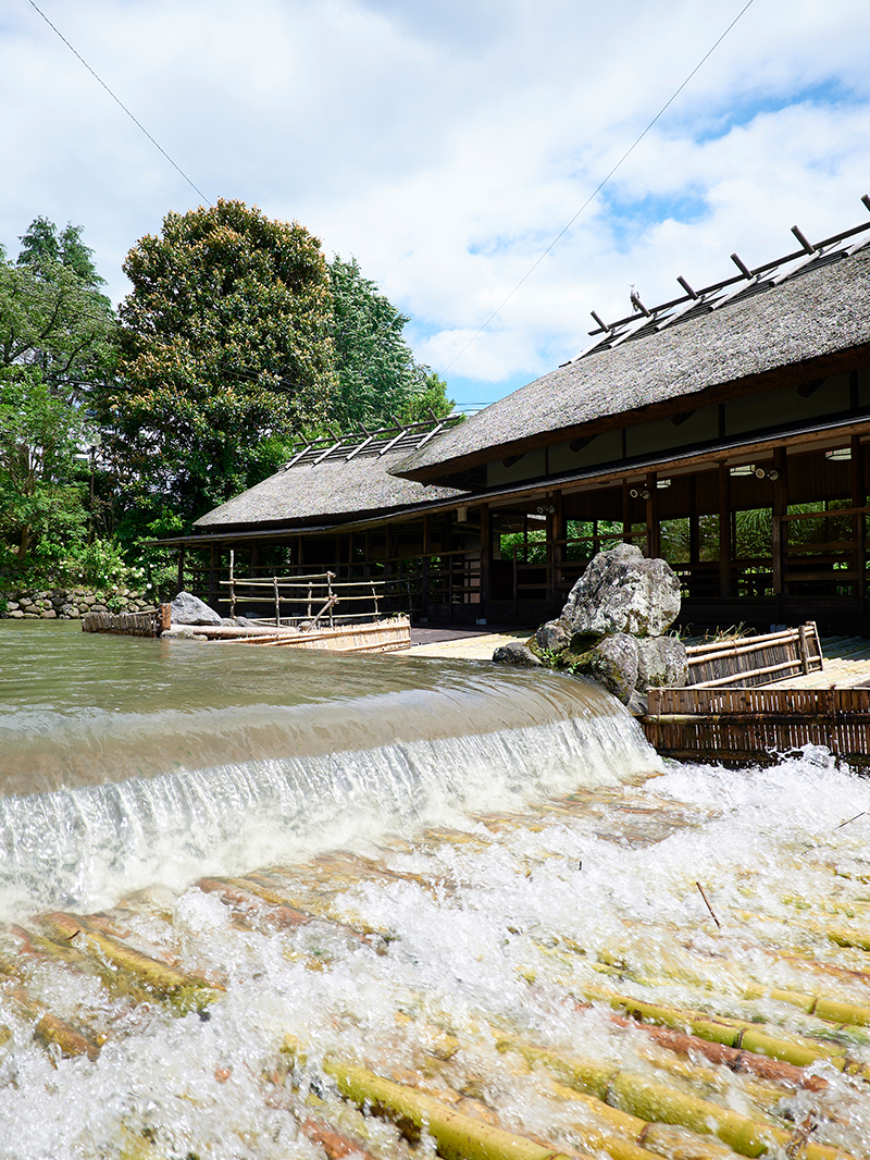 上様の夏の愉(たの)しみは、甲佐町やな場の鮎。