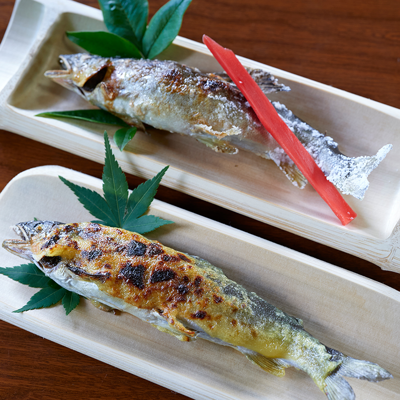 甲佐町やな場の鮎