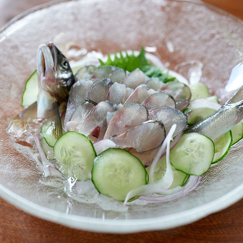 甲佐町やな場の鮎